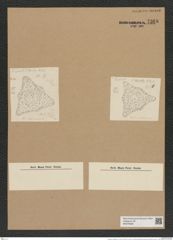 Triceratium duplicatum A. Schm. (de-Toni-Nr.: Genus 140, Species 3880) Zeichnungen Sammlung Grunow Nr. 7368 (NHMW-BOT-W0376429)